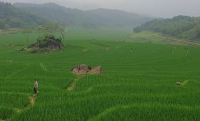 Vietnam hors des sentiers battus