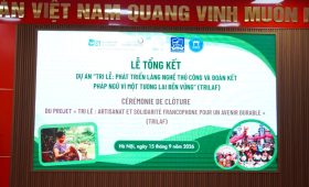 Projet Trilaf, Oniva Travel