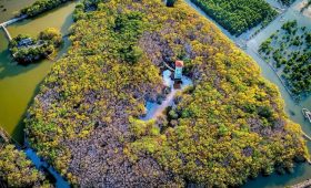 Forêt de mangrove de Rú Chá