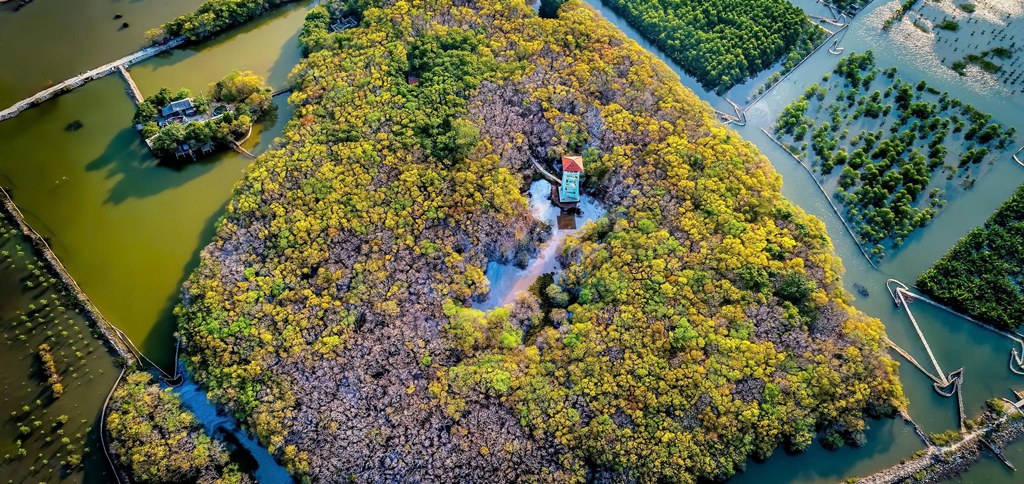 Forêt de mangrove de Rú Chá